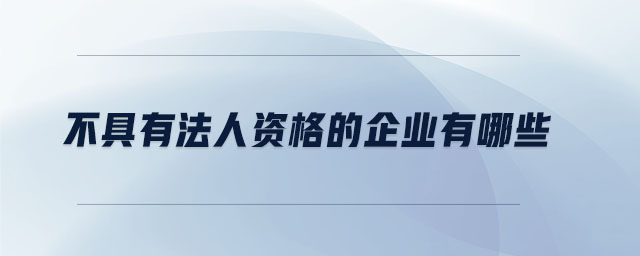 不具有法人資格的企業(yè)有哪些