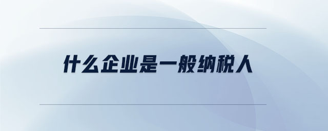 什么企業(yè)是一般納稅人