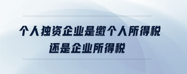 個人獨資企業(yè)是繳個人所得稅還是企業(yè)所得稅