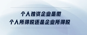 個(gè)人獨(dú)資企業(yè)是繳個(gè)人所得稅還是企業(yè)所得稅