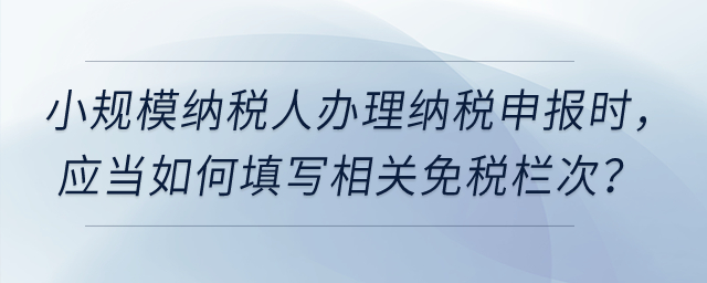 小規(guī)模納稅人在辦理增值稅納稅申報(bào)時(shí),，應(yīng)當(dāng)如何填寫(xiě)相關(guān)免稅欄次,？