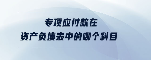 專項應(yīng)付款在資產(chǎn)負債表中的哪個科目