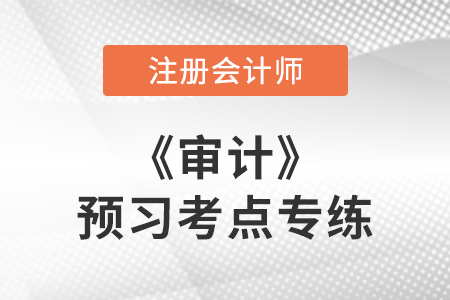 審計的概念_注會審計預習考點專練