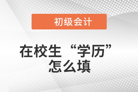 在校大學(xué)生2023年初級(jí)會(huì)計(jì)職稱報(bào)名信息表中的“學(xué)歷”怎么填？