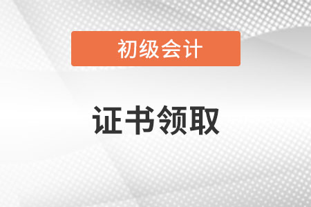 初級會計證的證書編號怎么查呢,？