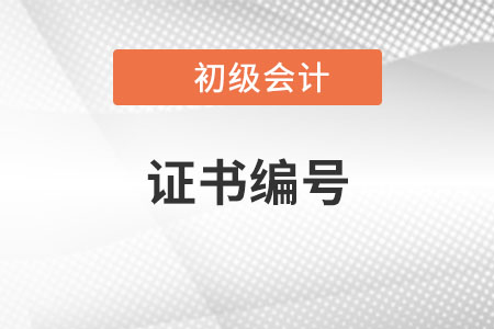 2023年初級會計報名表上有兩個證書編號,，怎么填？