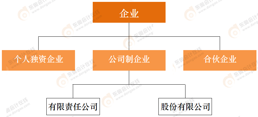 公司類型