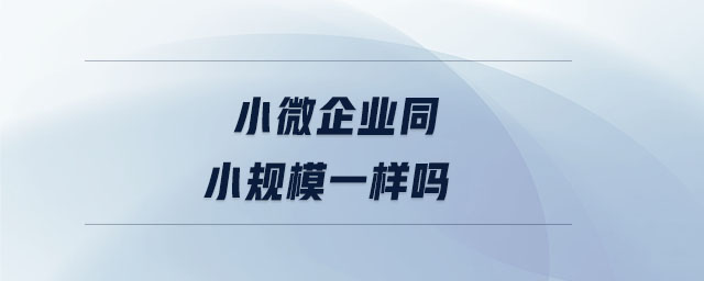 小微企業(yè)同小規(guī)模一樣嗎