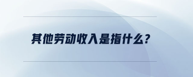 其他勞動收入是指什么