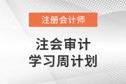 2023年注會(huì)審計(jì)基礎(chǔ)階段學(xué)習(xí)計(jì)劃,！建議收藏,！