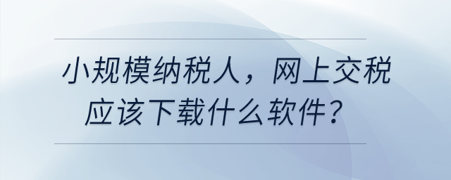 小規(guī)模納稅人,，網(wǎng)上交稅應(yīng)該下載什么軟件？