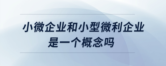 小微企業(yè)和小型微利企業(yè)是一個(gè)概念嗎？