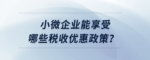 小微企業(yè)能享受哪些稅收優(yōu)惠政策,？