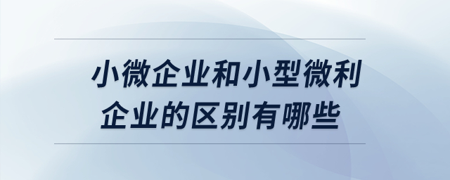 小微企業(yè)和小型微利企業(yè)的區(qū)別有哪些,？