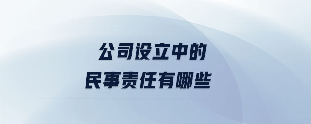 公司設(shè)立中的民事責(zé)任有哪些