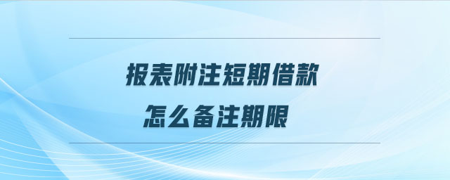 報表附注短期借款怎么備注期限