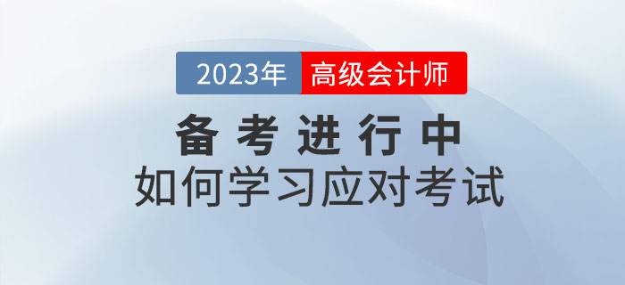 2023年高級會計師考試什么樣,？如何學(xué)習(xí)應(yīng)對考試