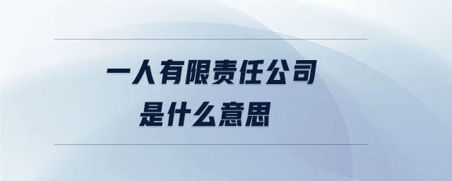 一人有限責(zé)任公司是什么意思