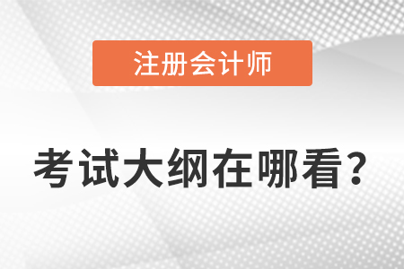 2023年cpa考試大綱在哪里看？