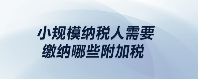 小規(guī)模納稅人需要繳納哪些附加稅,？