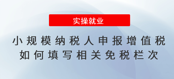 增值稅減免政策小規(guī)模納稅人申報(bào)增值稅如何填寫相關(guān)免稅欄次,？