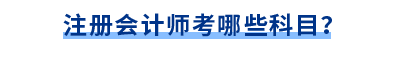 注冊(cè)會(huì)計(jì)師考試科目