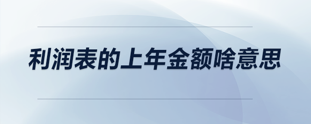 利潤表的上年金額啥意思,？