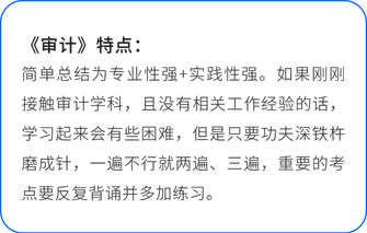 審計特點