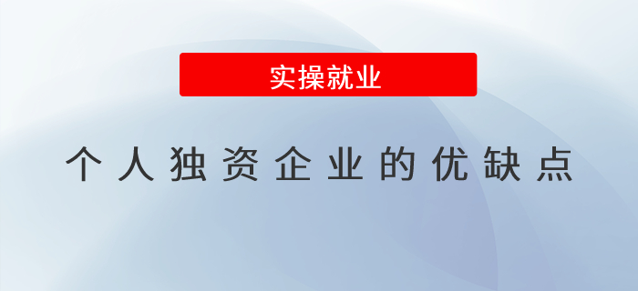 個(gè)人獨(dú)資企業(yè)的優(yōu)缺點(diǎn)有哪些,？