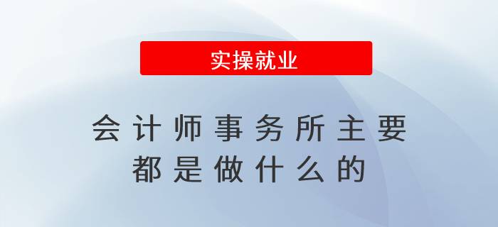會計師事務所主要都是做什么的,？