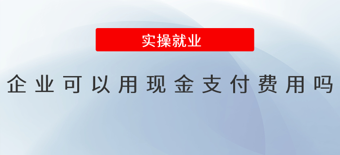 企業(yè)可以用現(xiàn)金支付費(fèi)用嗎？