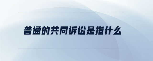 普通的共同訴訟是指什么