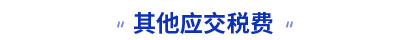 其他應(yīng)交稅費(fèi)