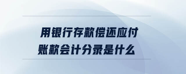 用銀行存款償還應付賬款會計分錄是什么