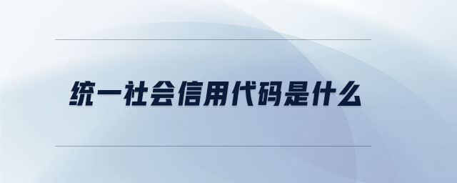 統(tǒng)一社會(huì)信用代碼是什么