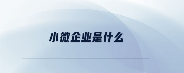 小微企業(yè)是什么