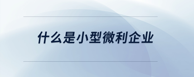 什么是小型微利企業(yè),？