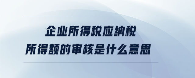 企業(yè)所得稅應(yīng)納稅所得額的審核是什么意思