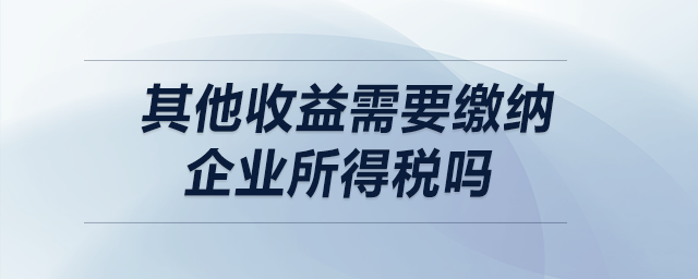 其他收益需要繳納企業(yè)所得稅嗎,？