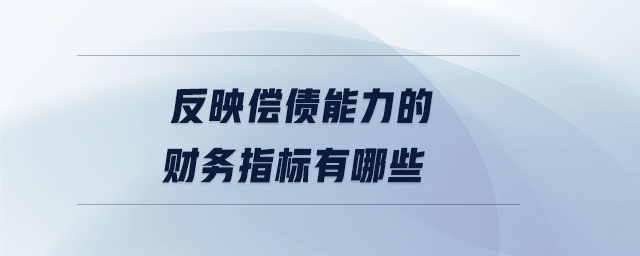 反映償債能力的財(cái)務(wù)指標(biāo)有哪些