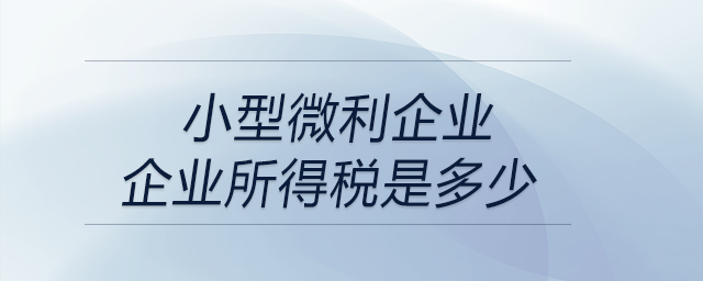 小型微利企業(yè)企業(yè)所得稅是多少