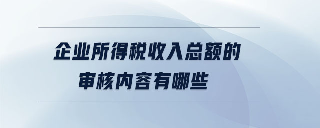 企業(yè)所得稅收入總額的審核內(nèi)容有哪些