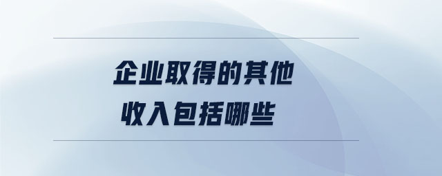 企業(yè)取得的其他收入包括哪些