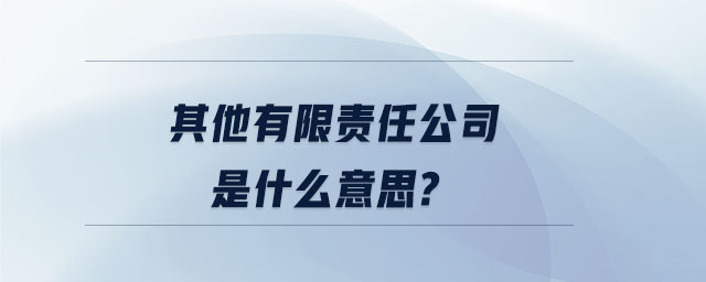 其他有限責(zé)任公司是什么意思