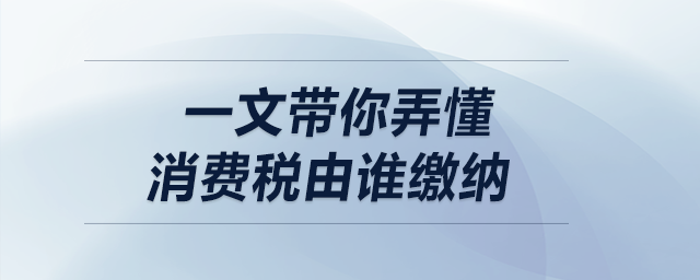 一文帶你弄懂消費(fèi)稅由誰繳納！