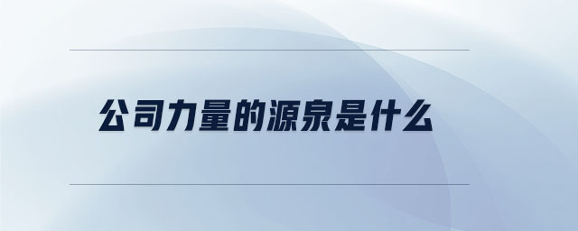 公司力量的源泉是什么