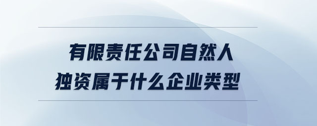 有限責(zé)任公司自然人獨(dú)資屬于什么企業(yè)類型