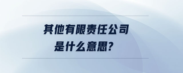 其他有限責(zé)任公司是什么意思