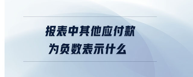 報表中其他應付款為負數表示什么