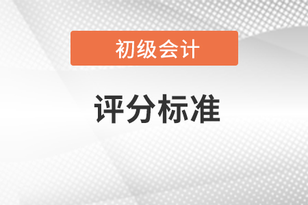 初級會計考試評分標準2023年是什么,？